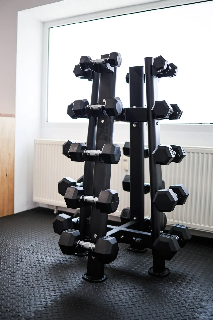 EMS Fitnessclub – Fotografie – Foto 12 von 31